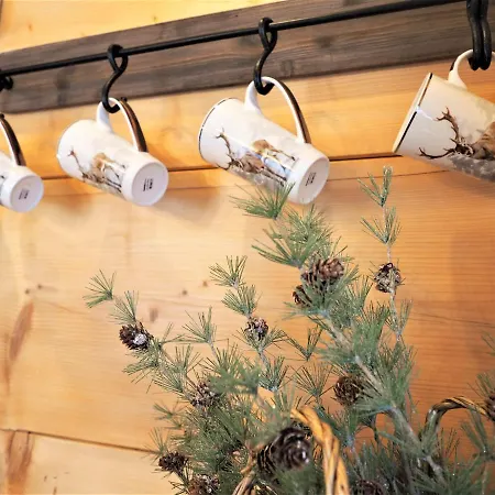 샬레 Looktatry Jelonek Bachledzki Wierch 자코파네